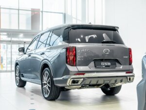 Новый GAC GS8 2026 Dragon 2.0 AT (231 л.с.) 4WD GX Premium  - фото 4