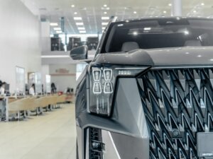 Новый GAC GS8 2026 Dragon 2.0 AT (231 л.с.) 4WD GX Premium  - фото 6
