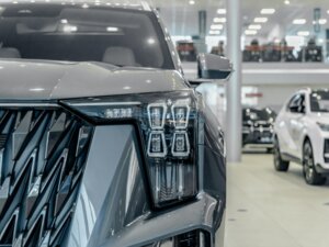 Новый GAC GS8 2026 Dragon 2.0 AT (231 л.с.) 4WD GX Premium  - фото 7