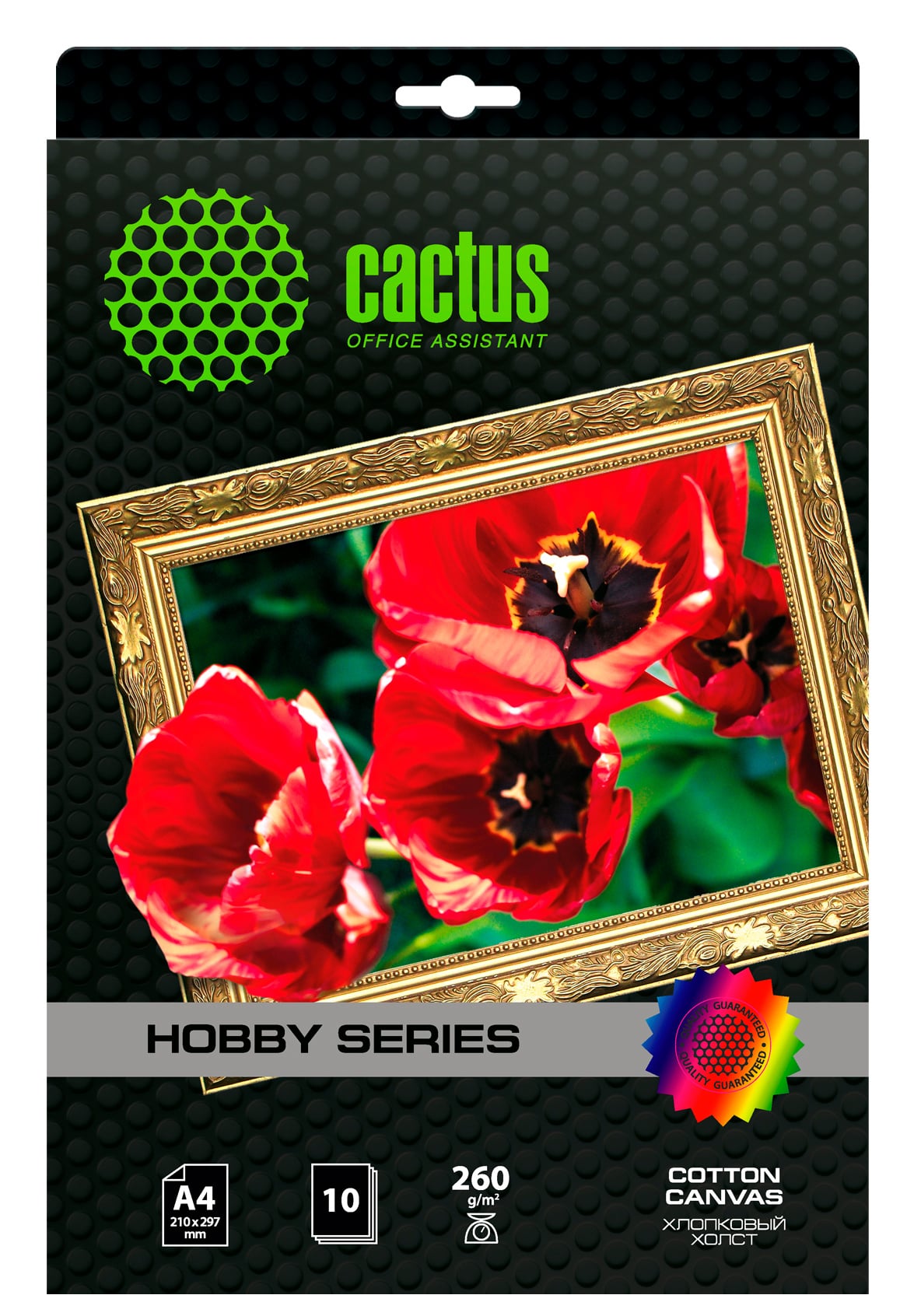 CACTUS CS-CA426010 Холст для струйной печати, A4, 300г/м2, 10 листов