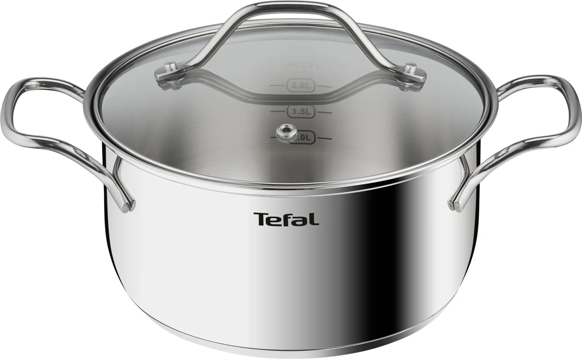 Кастрюля Tefal Intuition B8644474 2.8л. d=20см (с крышкой) серебристый (2100125814)