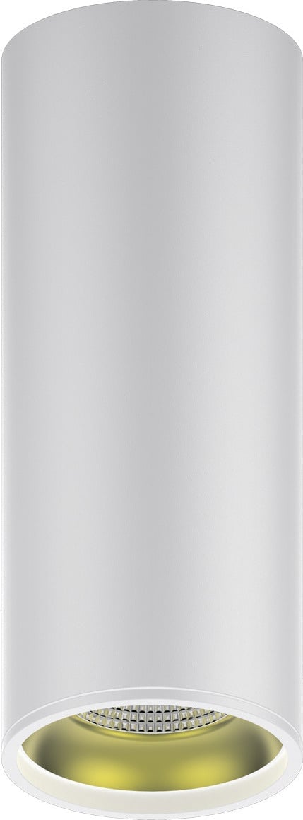 Светильник Overhead накл цил 12W 900lm 3000K 170-240V IP20 79*200мм белый золото LED
