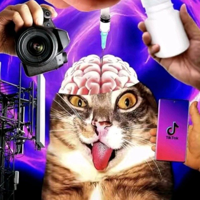 Логотип Евгений123312312312
