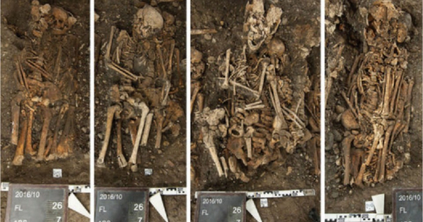 Под базельским концертным залом нашли жертв последней швейцарской чумы. Большинство из них умерли в юном возрасте