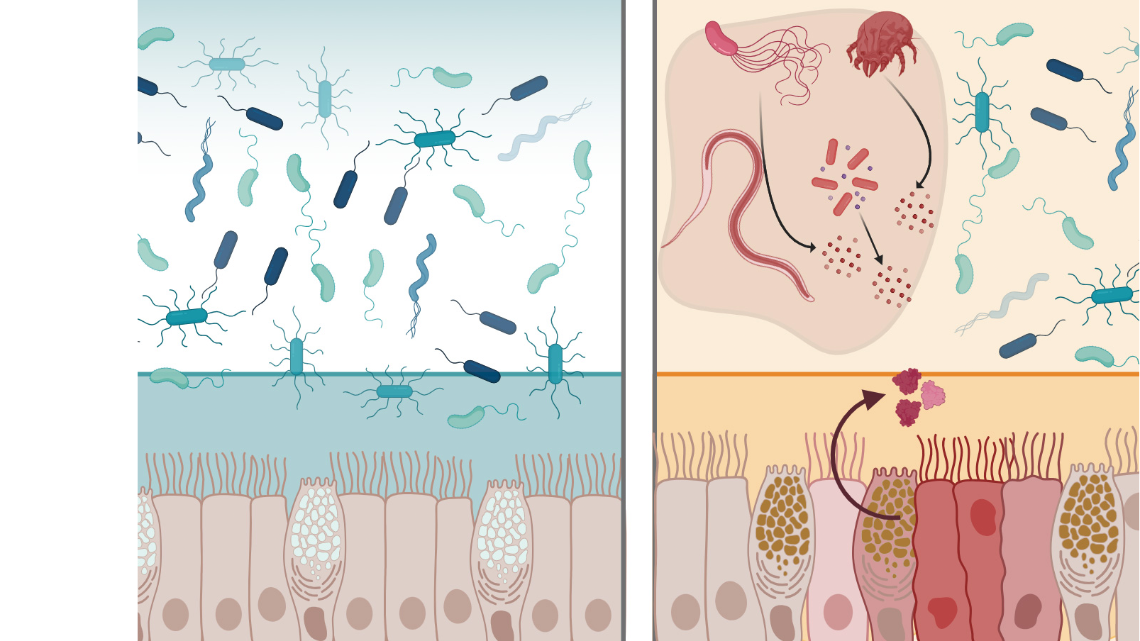 6845391441238c3d88a53943fbf1dcb2