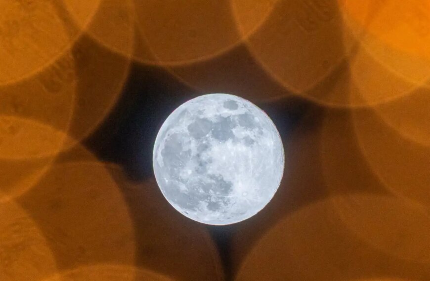 Лучшие новые научно-популярные книги апреля 2026 года