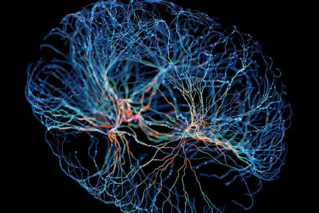 Компания OpenAI начала предлагать программу магистратуры, ориентированную на биологические аспекты.