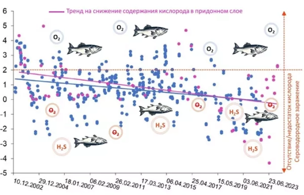 Ученые проследили за исчезновением кислорода со дна Балтийского моря: Биология 1 Ученые проследили за исчезновением кислорода со дна Балтийского моря: Биология