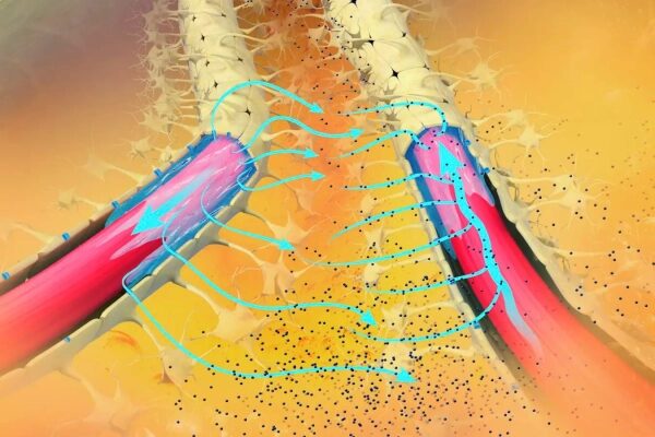 Иллюстрация спинного мозга с нервными сигналами, изображение для медицины и нейробиологии.