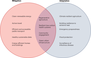 Диаграмма Венна: стратегии смягчения и адаптации к изменению климата.