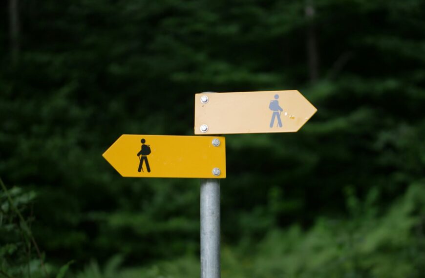 Указатель для туристов с двумя желтыми стрелками на зеленом фоне леса.