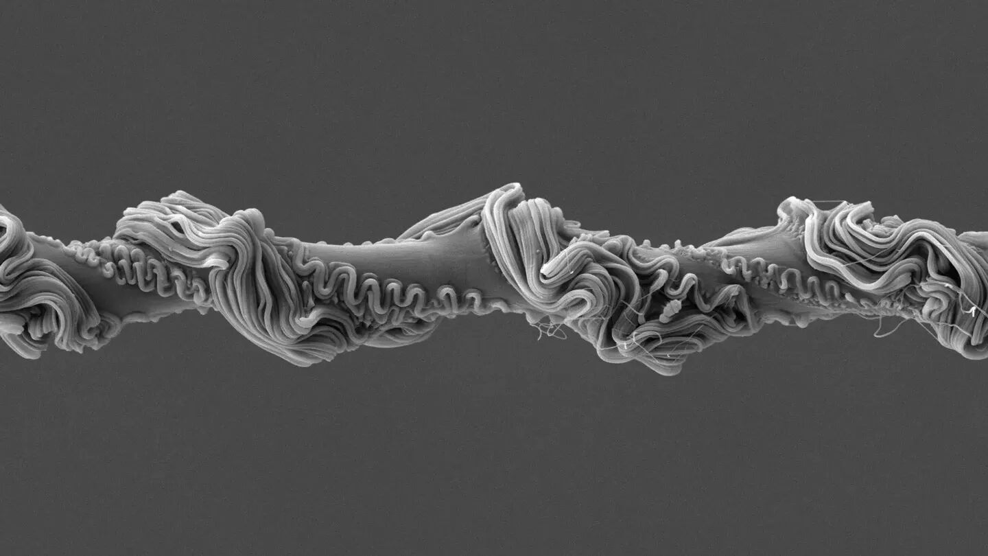 Расплетённая нитка под микроскопом, серый фон, макросъёмка текстуры.