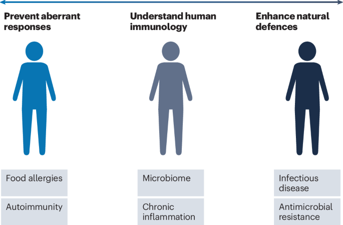 Инфографика о иммунологии: аллергии, микробиом, воспаление, защита от инфекций, сопротивление.