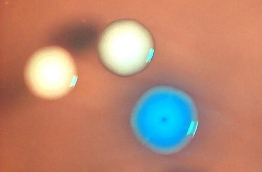 Три размазанных шара на коричневом фоне, два белых, один синий, абстрактное изображение.