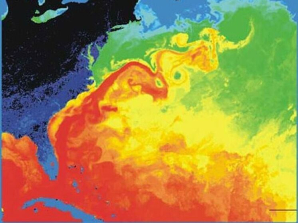Карта океанских течений, цветовая схема температур воды.