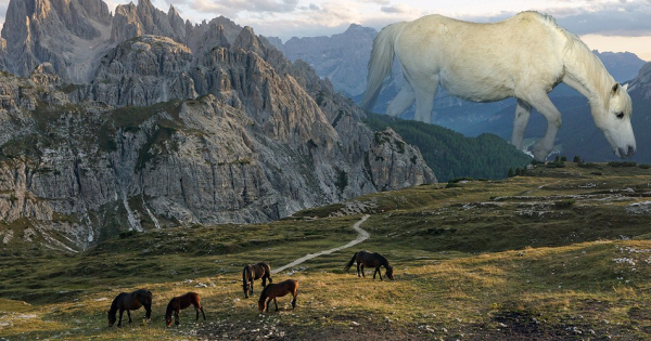 По коням. Кто и где одомашнил символ 2026 года