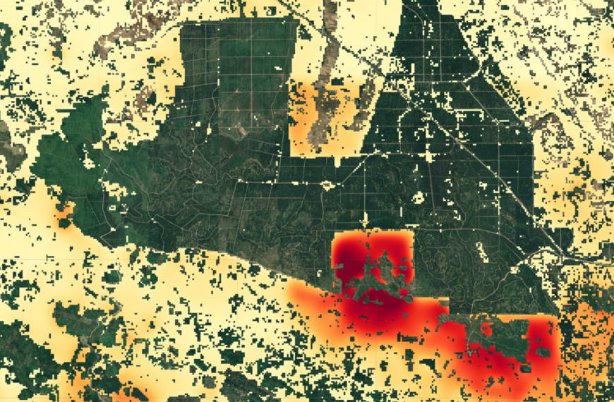 Прогнозирование будущего лесов с помощью ИИ: от подсчета потерь до прогнозирования рисков.