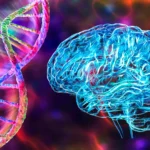 Изображение ДНК и мозга на цветном фоне, символизирующее генетические исследования.
