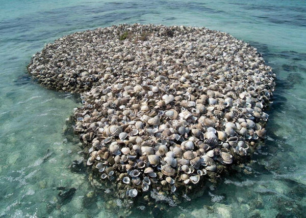 Остров из ракушек в чистом море под ясным небом. Натуральная красота природы.