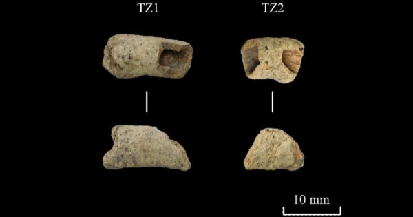 Древние костяные артефакты TZ1 и TZ2 на черном фоне, масштаб 10 мм.