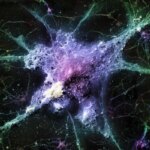 Абстрактное изображение, напоминающее космическую туманность с яркими цветами на черном фоне.