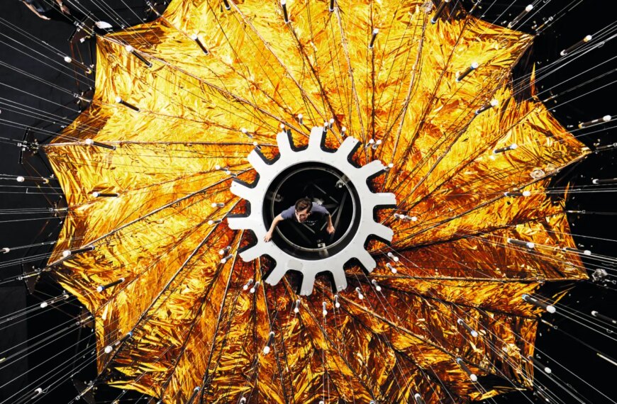 Человек внутри солнечного паруса спутника с золотыми лепестками.