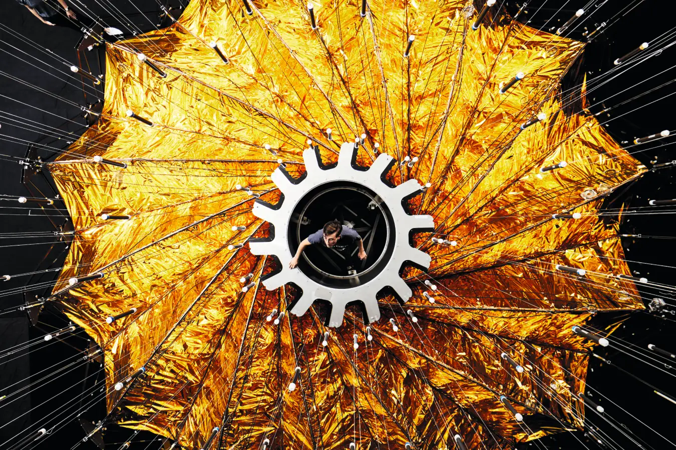 Завораживающие космические снимки показывают, как космос вдохновлял нас на протяжении веков. 3 Человек внутри солнечного паруса спутника с золотыми лепестками.