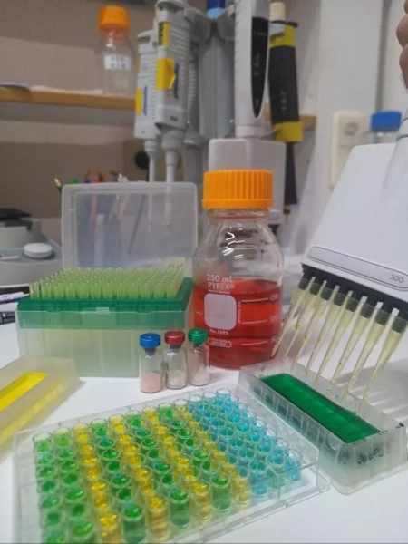 Лабораторное оборудование: пробирки, реагенты, пипетки в исследовательской лаборатории.