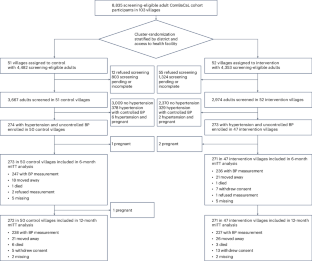 Блок-схема исследования: экспериментальная и контрольная группы в деревнях.