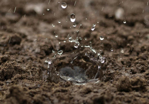 Капли дождя падают на землю, образуя брызги на мокрой почве.