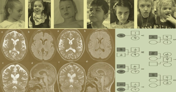 Медицинские снимки мозга, схемы генетики и анонимизированные детские фотографии.