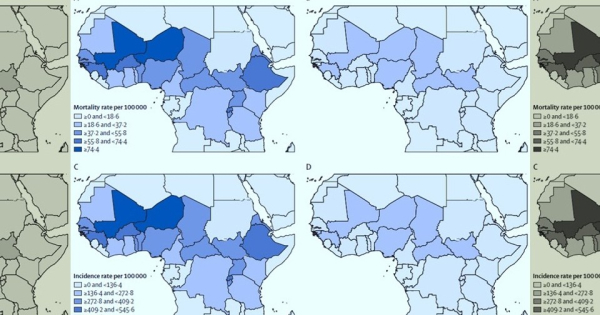 Карта Западной Африки: уровень смертности и заболеваемости по регионам.