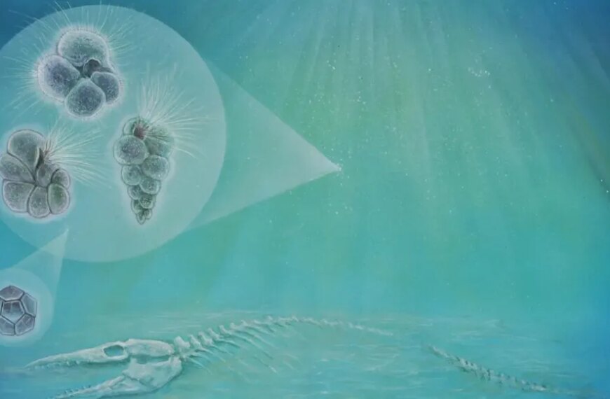 Палеонтология: скелет морского существа и увеличенные клетки на фоне океана.