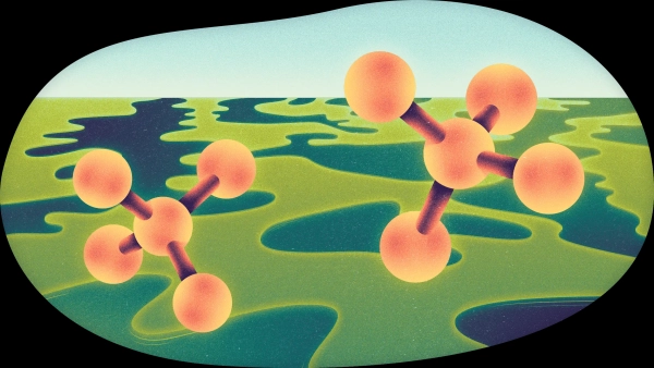 Микробы также изменяют климат. Может ли это нам помочь?