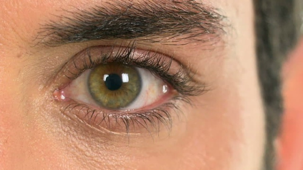 Близкий вид карего глаза с густыми бровями, сфокусировано на детали кожи и ресниц.