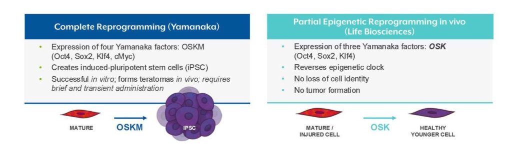 Сравнение полного и частичного перепрограммирования клеток факторами Яманаки: OSKM и OSK.