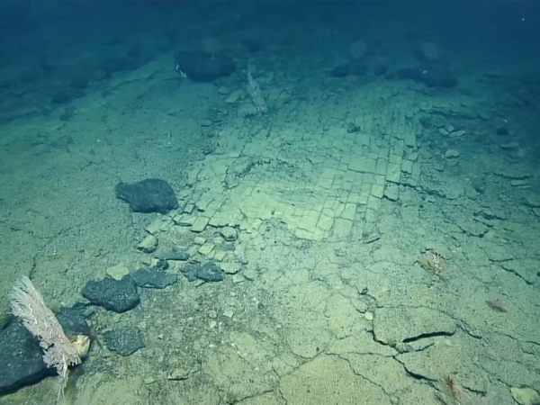 Подводные каменные плиты на дне океана, напоминающие брусчатую дорогу.