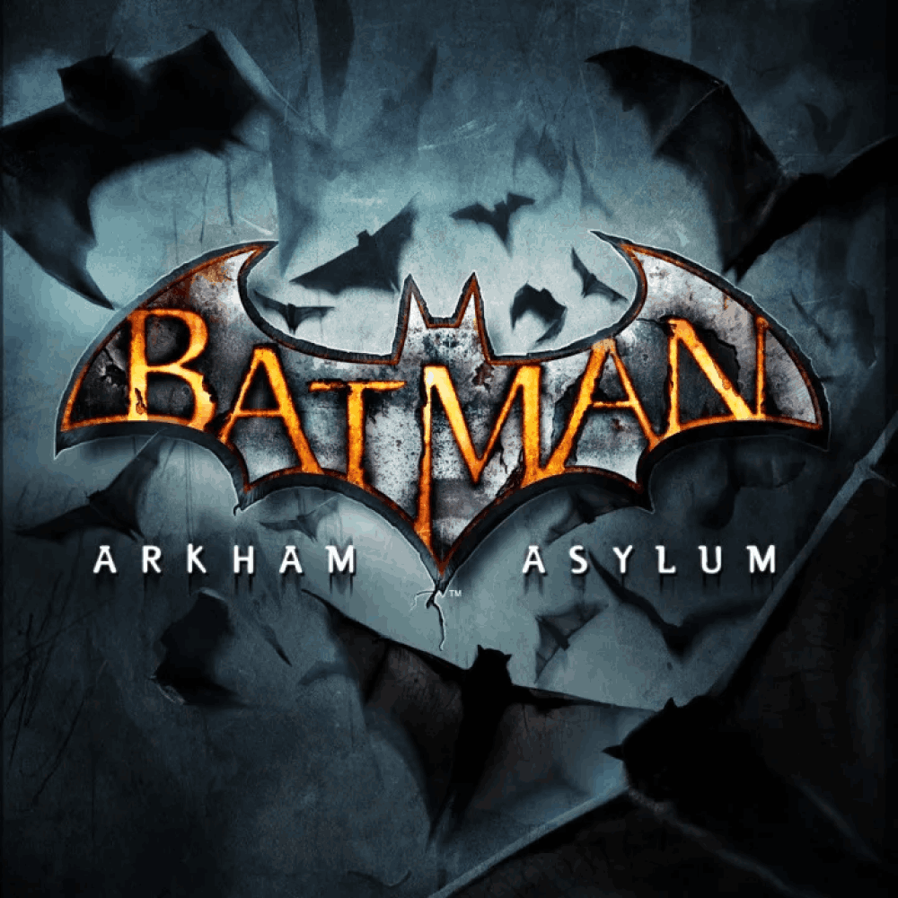 Batman Arkham City Video Game - PlayStation 3