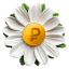 Ромашка Занимашка