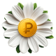 Ромашка Занимашка