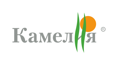 КАМЕЛИЯ