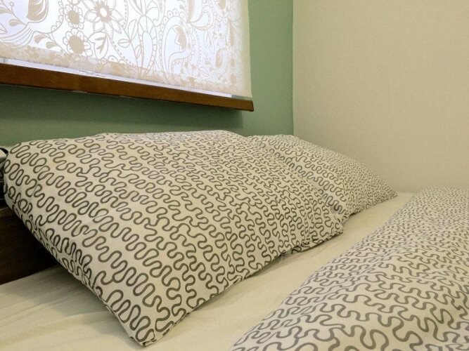 Hostel Rus Vnukovo, фото 47