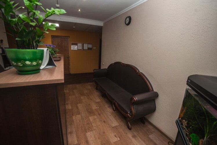 Березка, фото 18