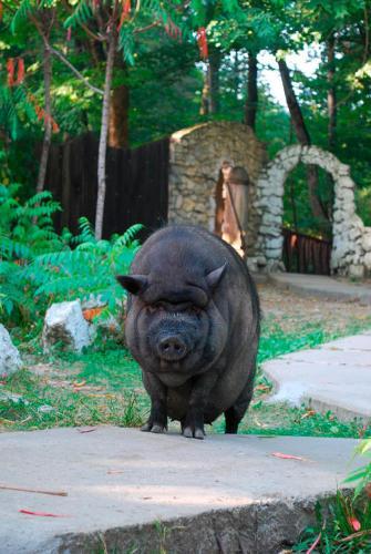 Беловодье, фото 84