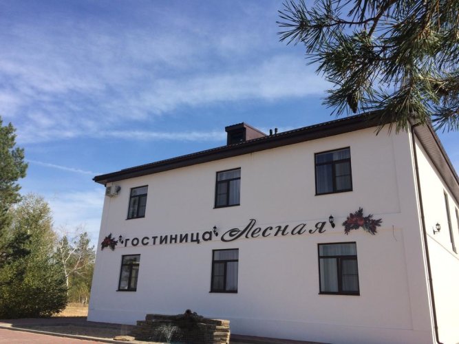 Лесная, фото 34