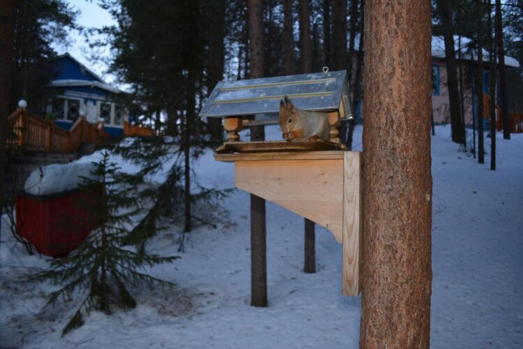 Огни Имандры, фото 65