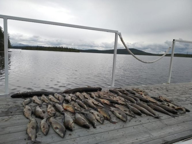 Огни Имандры, фото 77