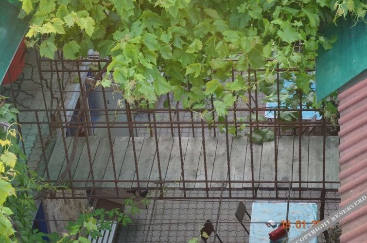 Guest House Ekaterina, фото 56