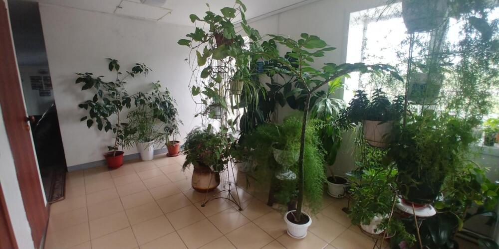 Силькари, фото 17