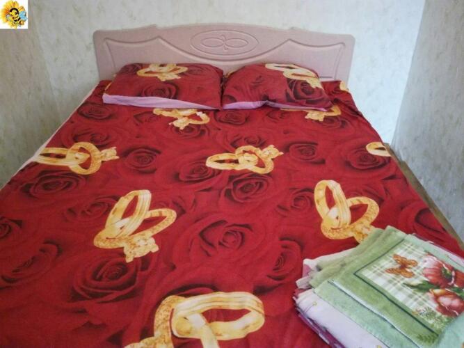 Feniks Na Vilskogo 16 Apartments, фото 15